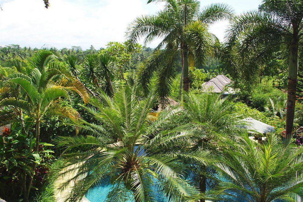 Hotel Bunga Permai Ubud  Bagian luar foto